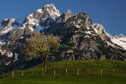 Jarní Alpy
