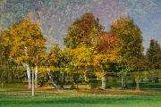 podzim ve Stromovce VIII