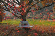 podzim ve Stromovce XVIII