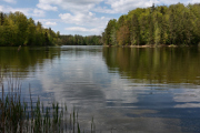 Staňkovský rybník VI