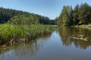 Staňkovský rybník XIV