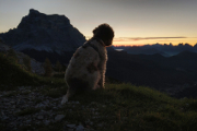 Bruno před východem slunce nad Val di Zoldo II