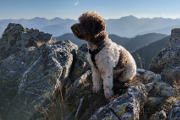 Bruno na hřebenu Eizenerzských Alp