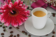 Kaffee und Blumen 04-2012