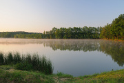 Pond Štilec 05-2012