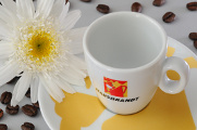 Hausbrandt´s espresso cups of coffee and flowers 06-2012