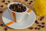 Tasse Kaffee mit Blume 10-2012