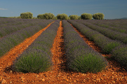 Frankreich Provence 06-2013 II. Teil