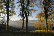 Nationalpark Böhmerwald 10-2013