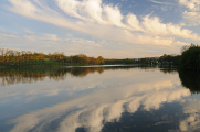 pond Mnich near Netolice