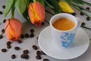 espresso a tulipán I