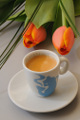 espresso a tulipán II