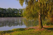 rybník Štilec V
