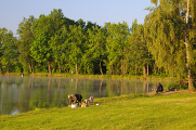 rybník Štilec a rybáři II