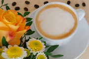 cappuccino a růže II