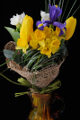vázaná kytice - narcis, tulipán, frézie a kosatec III