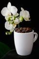 šálek na espresso Jura a orchidej IV