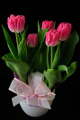 růžové tulipány v hrnkovém obalu I