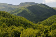 Foreste Casentinesi und Monte Penna II