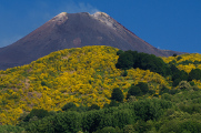 Etna von Südosten I