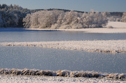 zimní krajina u rybníku Žár VII