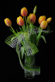 oranžové tulipány IV