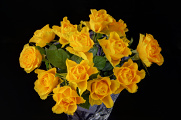 žluté růže III