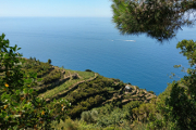 Landschaft rund um Cinque Terre